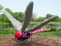 MortonArb Legos Dragonfly-1 : Morton Arboritum